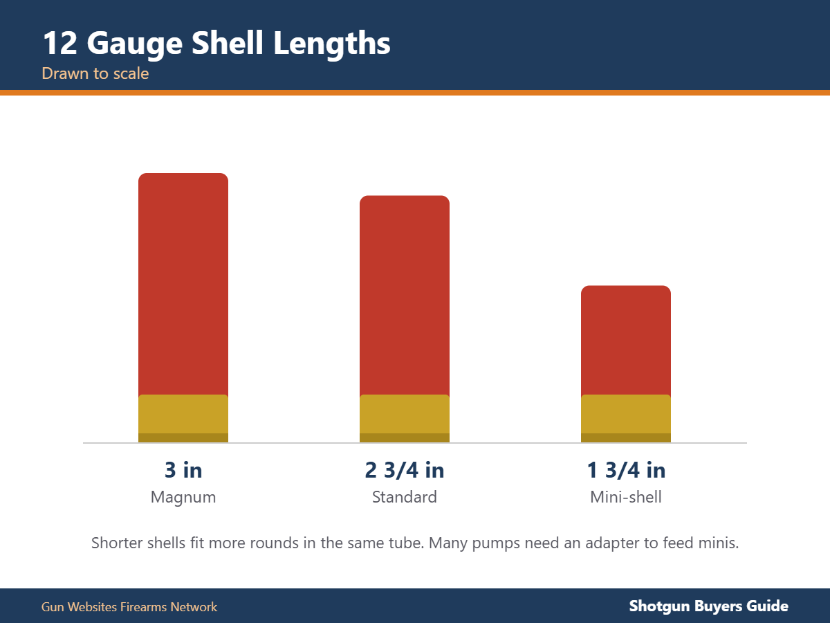 12 gauge 3-inch, 2 3/4-inch and 1 3/4-inch mini shells drawn to scale